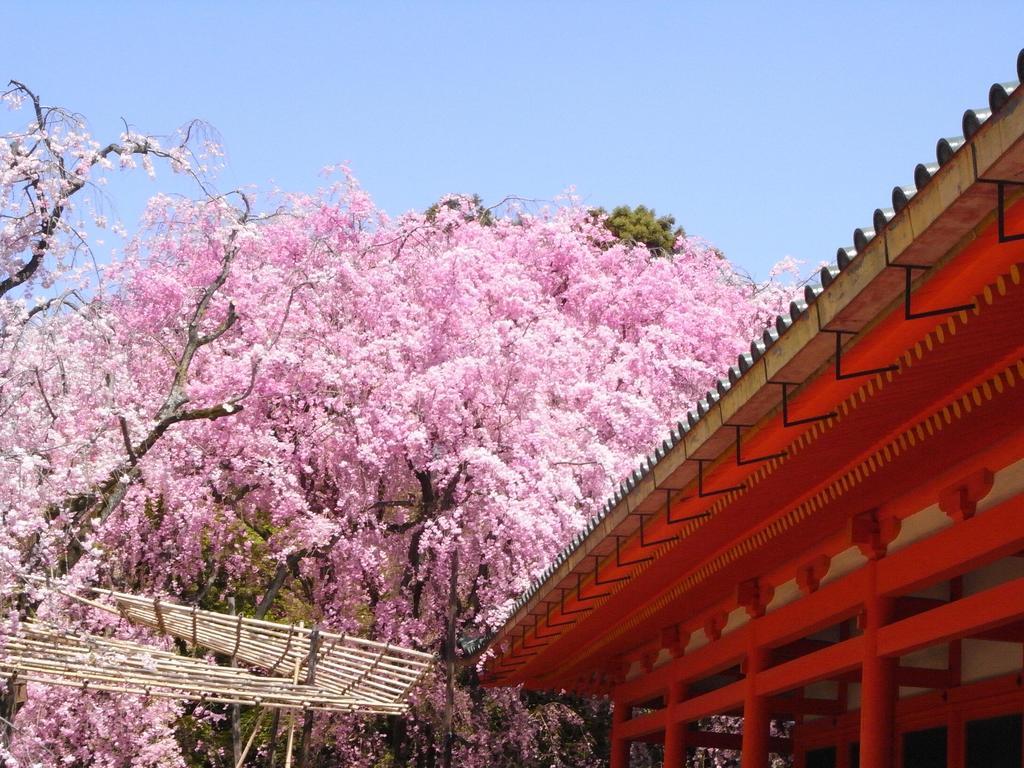 京都蚕之社旅馆 外观 照片